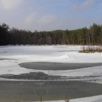 Het meer in de achtertuin in de winter